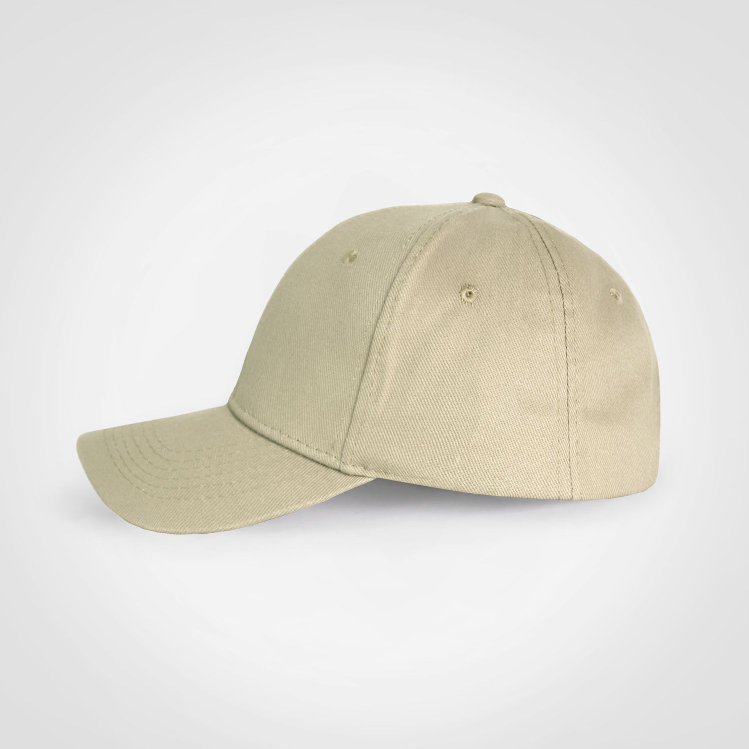 Promo 6 Panel Cap