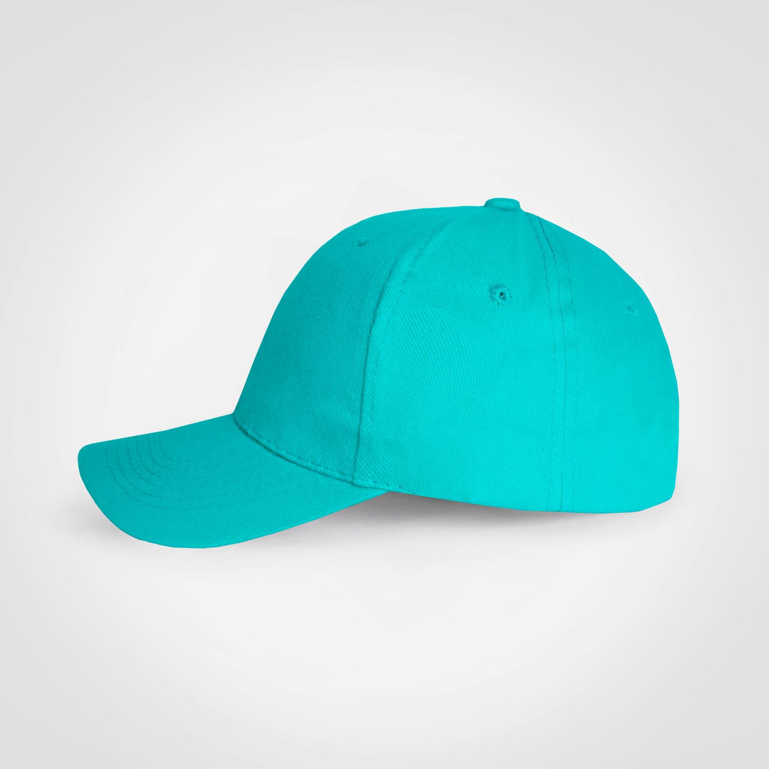 Promo 6 Panel Cap