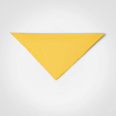 Plain Bandana