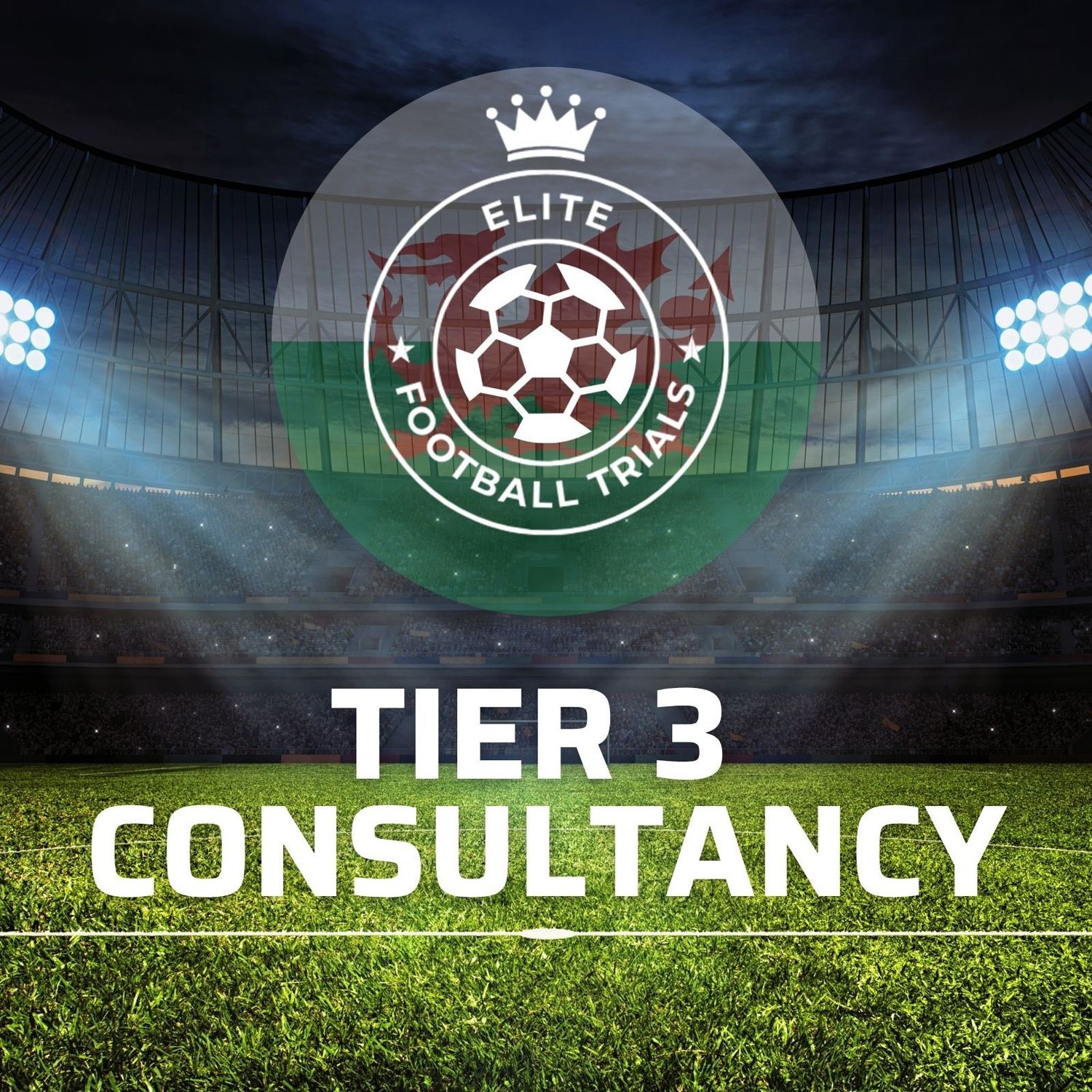 Football Consultancy in Wales - Tier 3