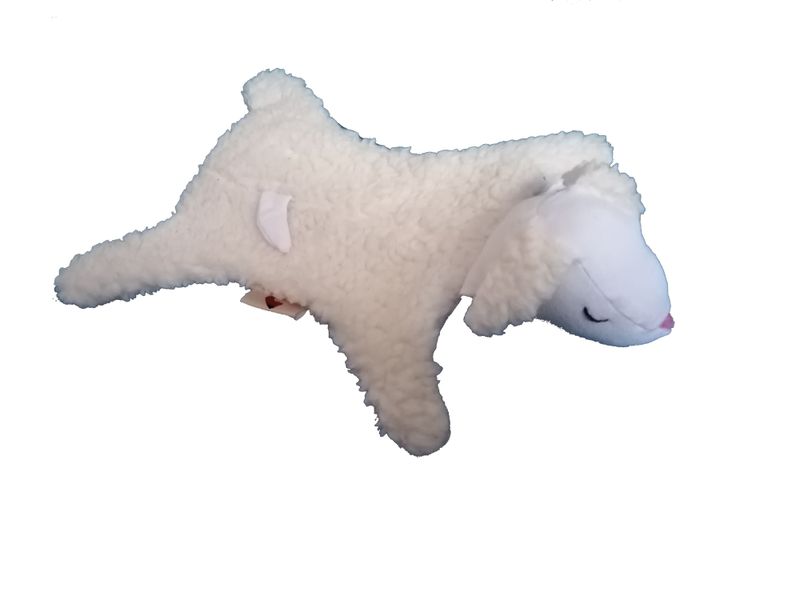 Kuschelschaf