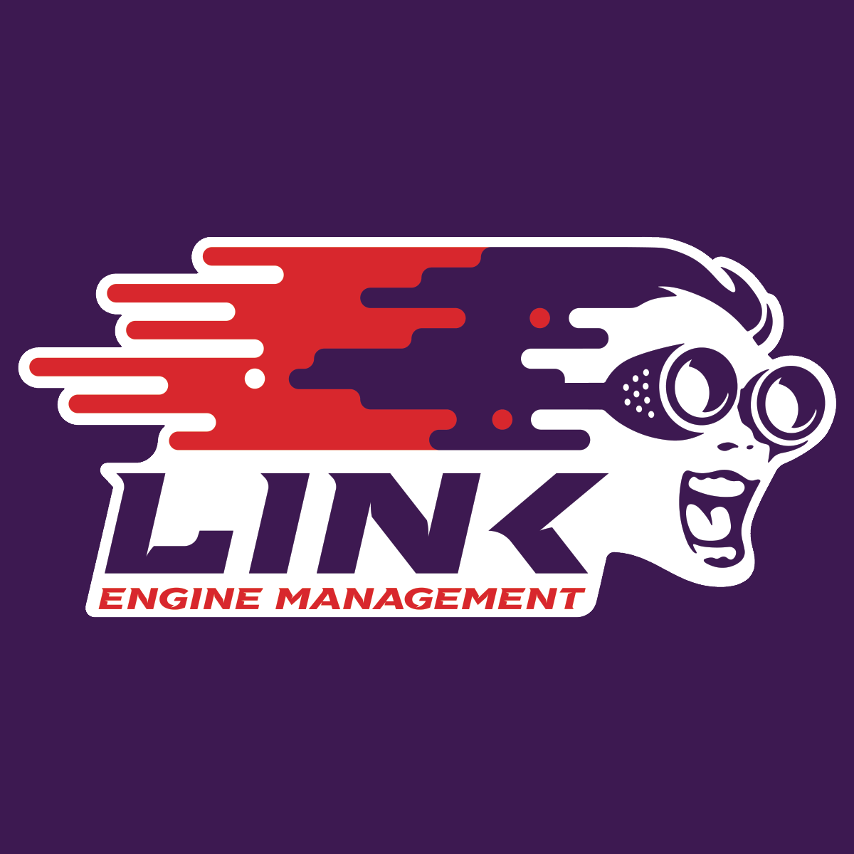 Link ECU and Tuning Package