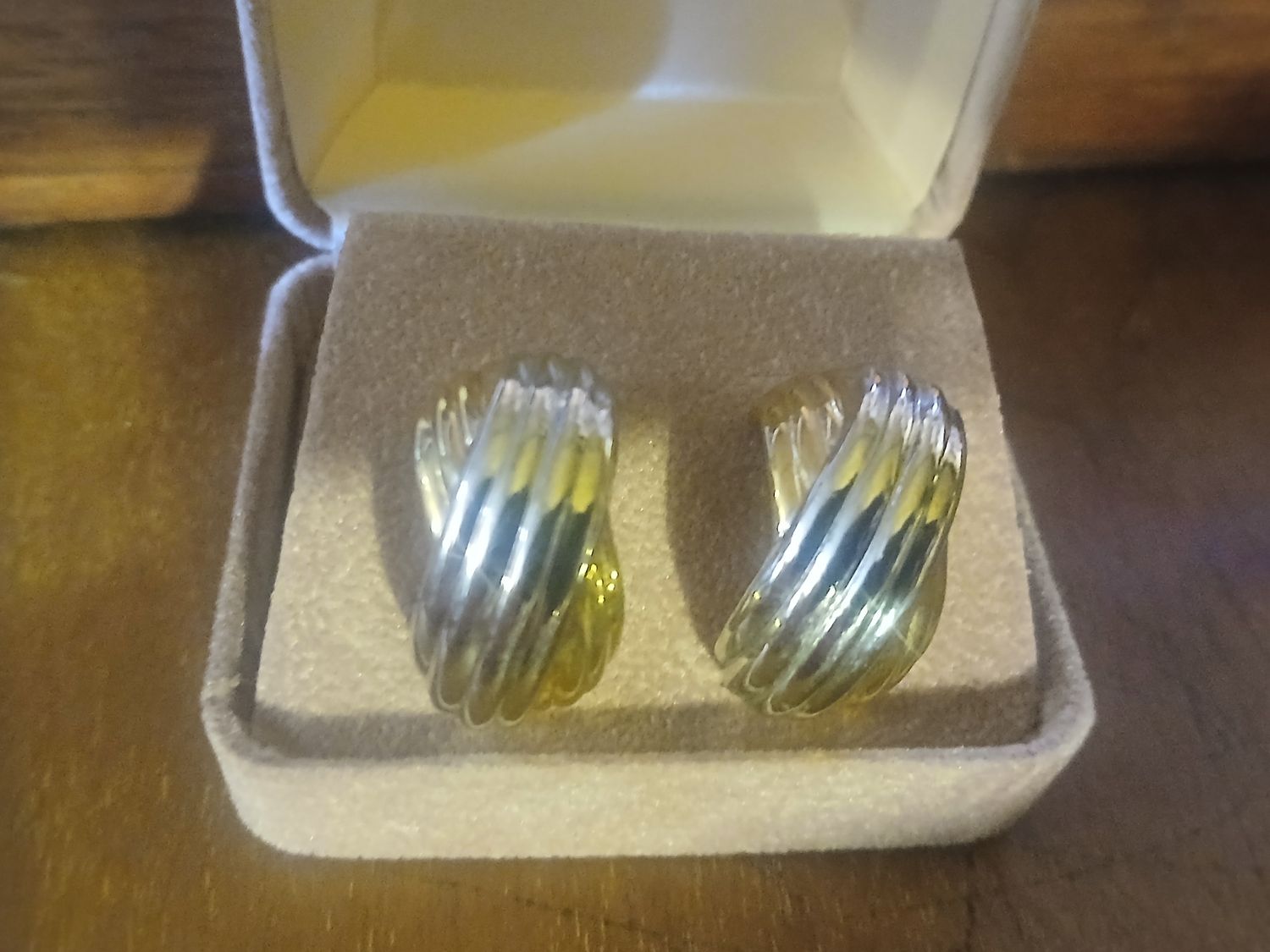 Rodeo Radiance Earrings
