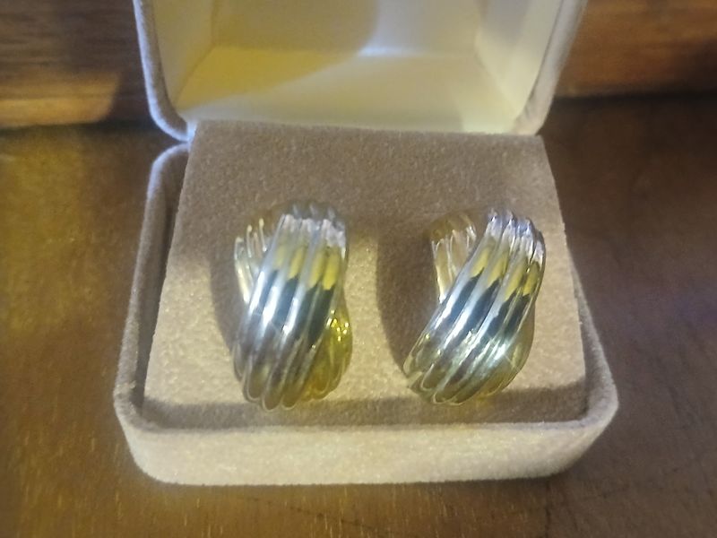 Rodeo Radiance Earrings