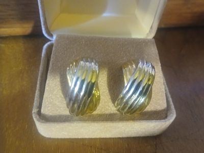 Rodeo Radiance Earrings