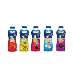Bebidas Garrafa