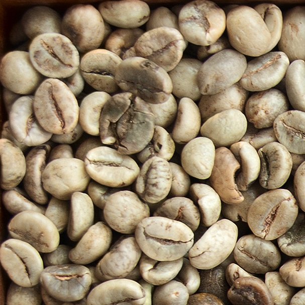 GREEN COFFEE BEANS