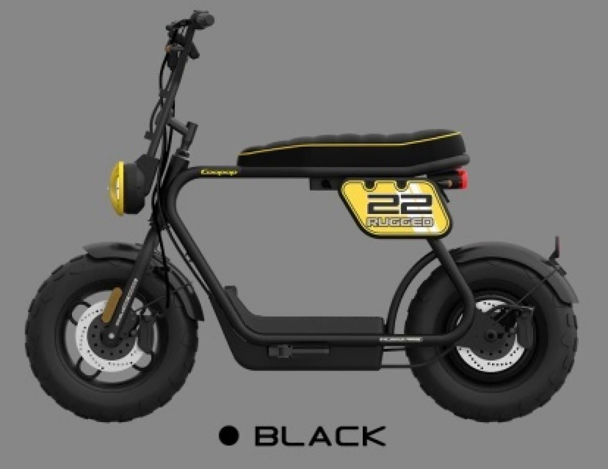 Coopop Rugged Scooter Electrique