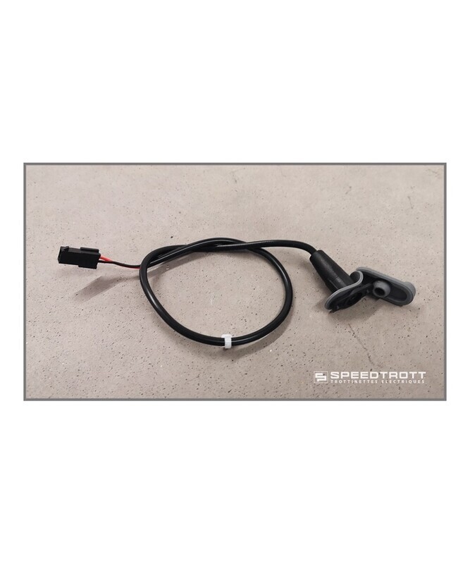 Port de charge - Speedtrott XM-350