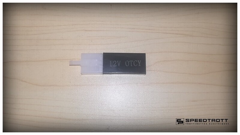 Centrale clignotant V2 - RX1000 - RX2000