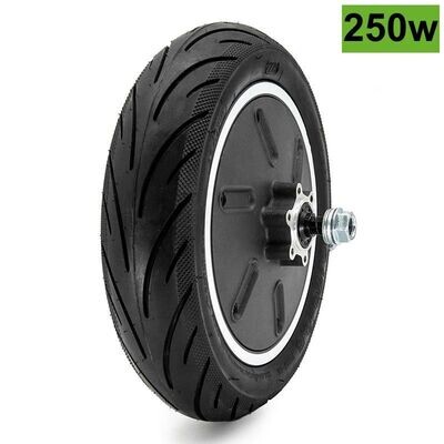 250 watt