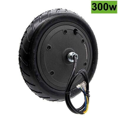 300 watt