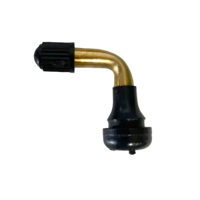 Valve Pneu