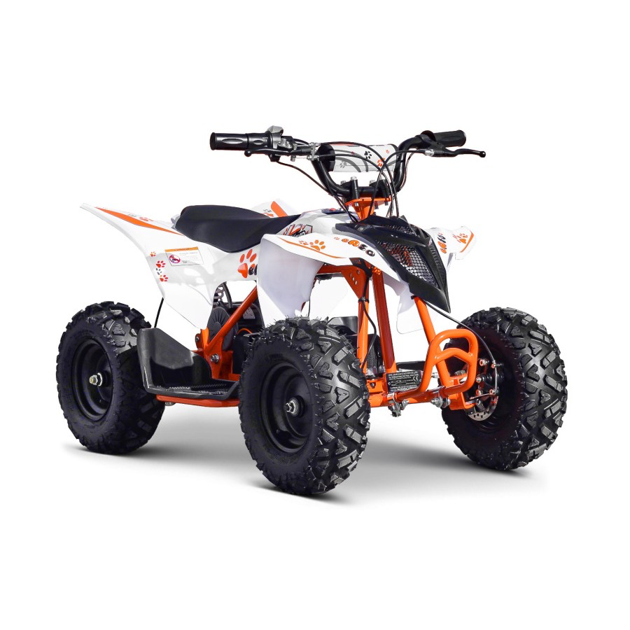 Quad électrique KAYO EA50
