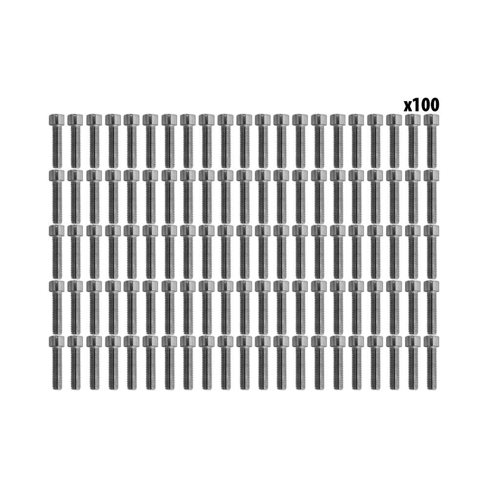 Vis BTR roue Ar Dualtron Mini (x100 pcs)