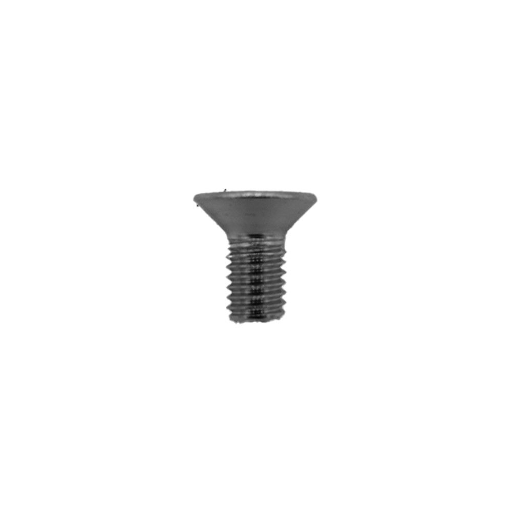 Vis Folding Dualtron Inox X10Pcs