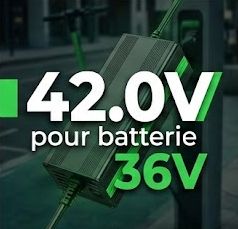 Chargeur trottinette 42 Volt pour Batterie 36 volt