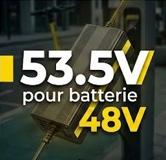 Chargeur trottinette 53.5 Volt pour batterie 48 Volt