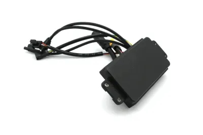 Contrôleur Vässla Bike – Pièce détachée officielle