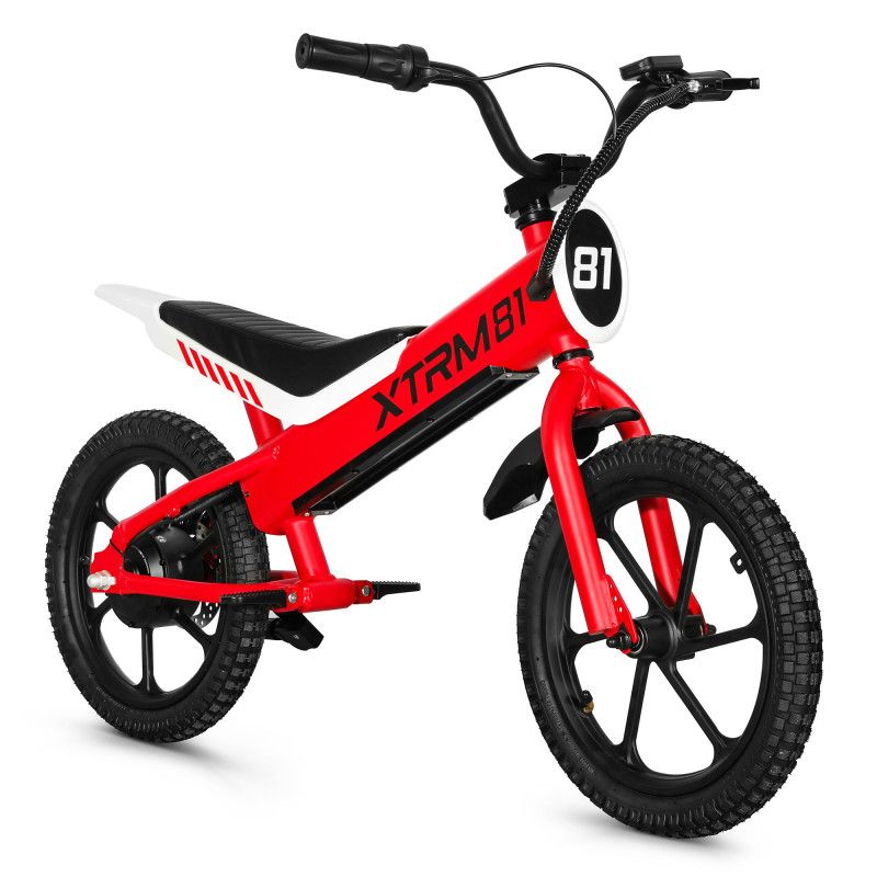 Draisienne électrique enfant XTRM 81 DX16 36V 350W roues 16 pouces