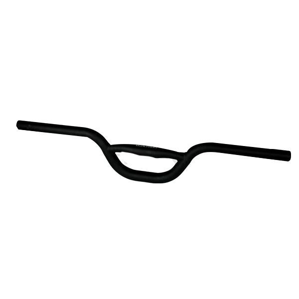 Dualtron Spider & Ii | GUIDON