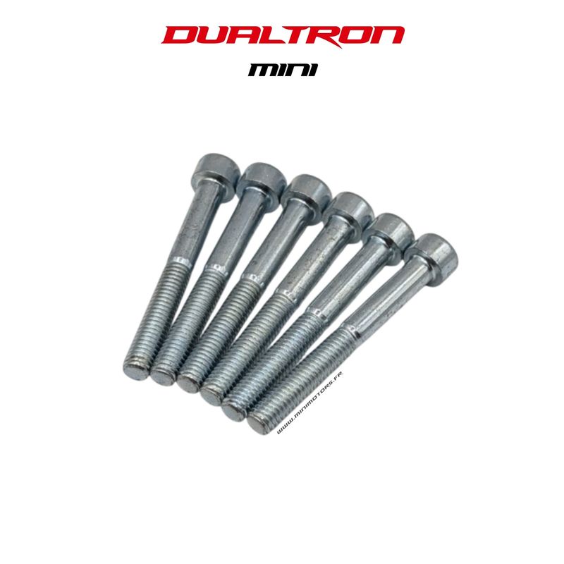 Dualtron Mini | VIS COLONNE DE DIRECTION M6x48(X6)