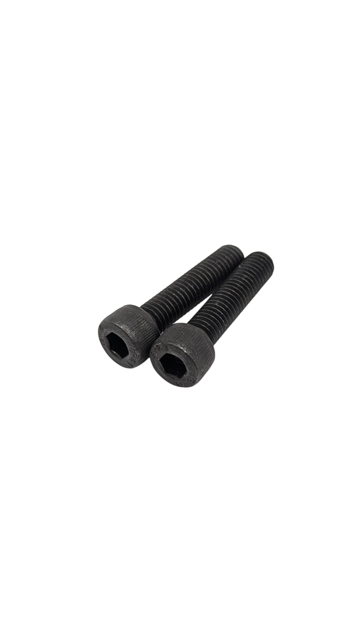 Dualtron Mini & Mini Double Moteur & Togo Ltd | VIS FOURCHE AVANT (paire)