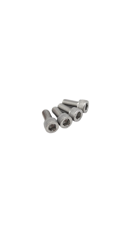 Dualtron Togo & Togo Ltd | VIS SUPPORT GUIDON (X4) M6*14/SUS304