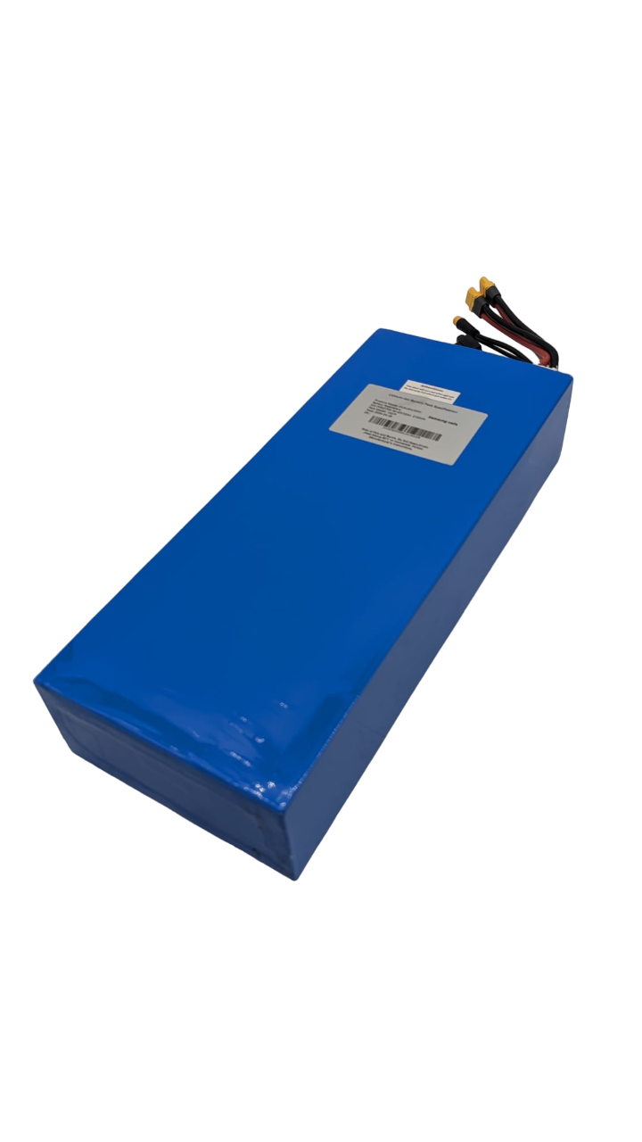 Teverun Fighter 10+ & 11+ | BATTERIE 60V 35AH LG Reconditionnée