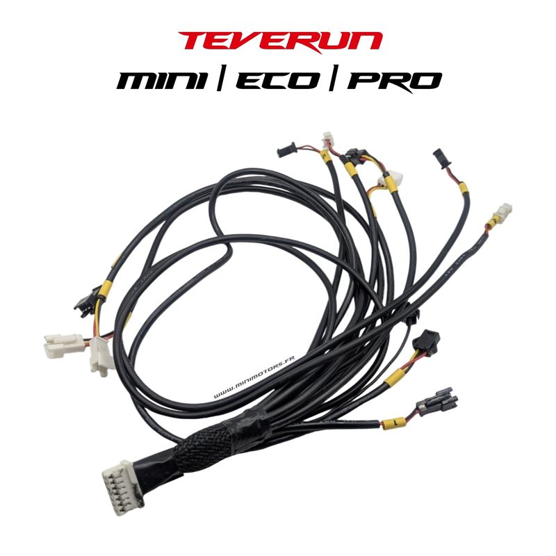Teverun Fighter Mini & Eco & Pro | CONVERTISSEUR LED V1 2024