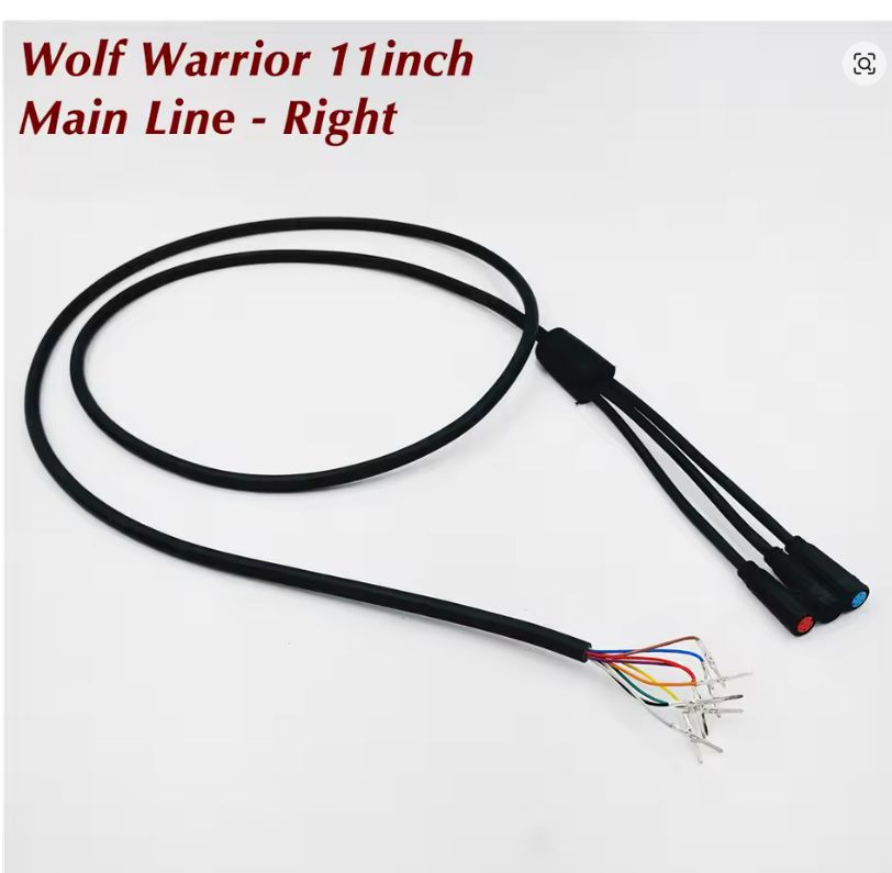 Kaabo Wolf Warrior 11 Plus | CABLE PRINCIPAL 3 CONNECTEURS Kaabo Wolf Warrior 11 Plus | CABLE PRINCIPAL 3 CONNECTEURS