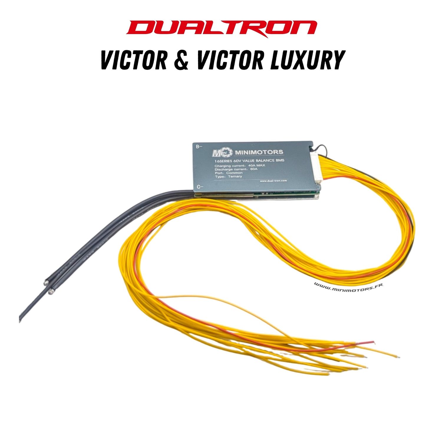 Dualtron Victor & Victor Luxury (V1&V2) | BMS 60V24A & 60V30A Dualtron Victor & Victor Luxury (V1&V2) | BMS 60V24A & 60V30A