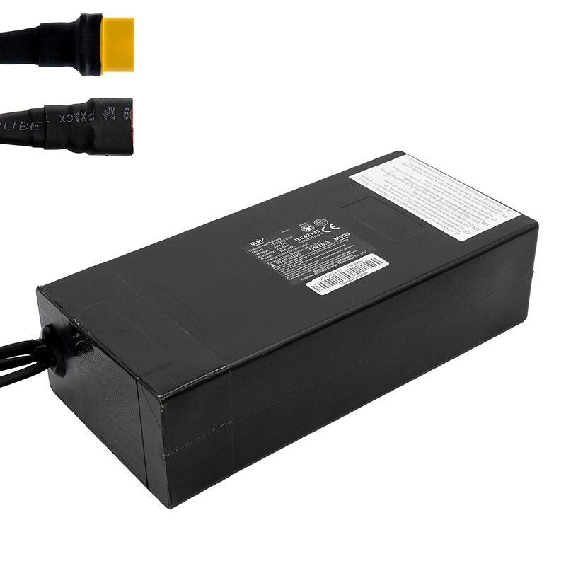 Batterie 48V 19.2 A/h pour Smartgyro Speedway Batterie 48V 19.2 A/h pour Smartgyro Speedway