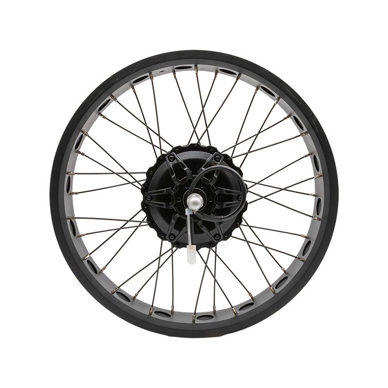 Jante arrière 20x4,0 avec moteur 250W 80Nm COMMANDO/NAVY