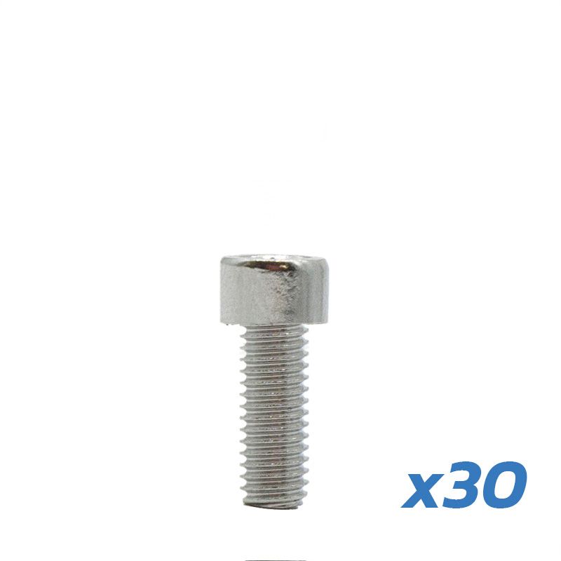 Vis de garde-boue Dualtron – lot de 30 unités Vis de garde-boue Dualtron – lot de 30 unités