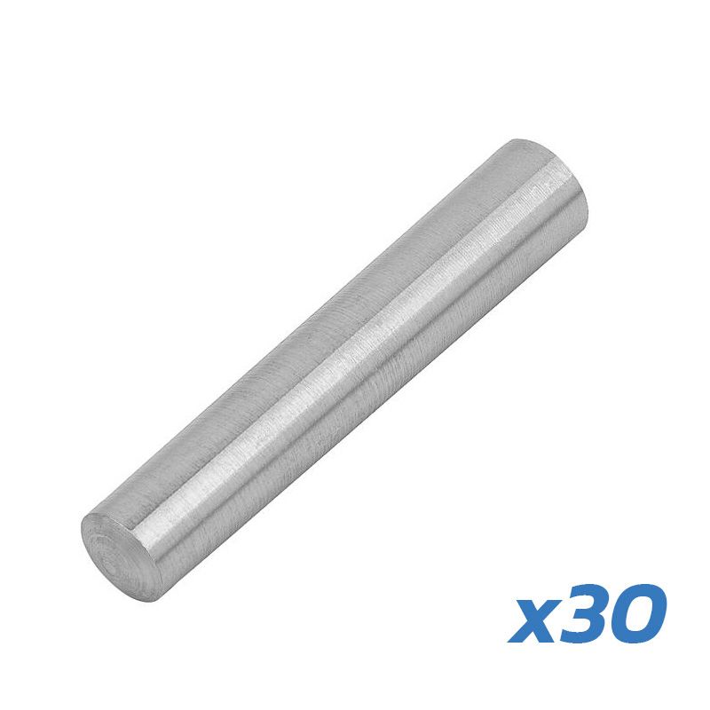 Goupille de charnière V1 Dualtron – lot de 30 unités Goupille de charnière V1 Dualtron – lot de 30 unités