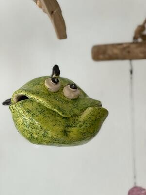 Kurt, der Kugelfisch Kurt, der Kugelfisch