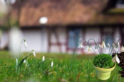 Frühling