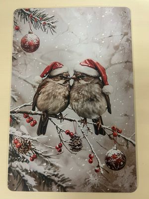 Blechschild Metallschild zwei Vögel im Winter