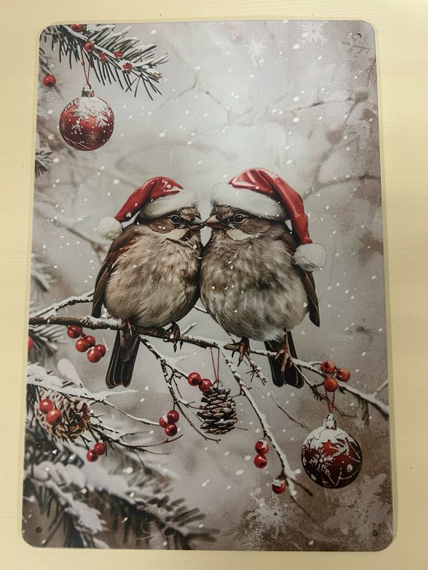 Blechschild Metallschild zwei Vögel im Winter Blechschild Metallschild zwei Vögel im Winter