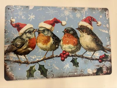 Blechschild Metallschild vier Vögel im Winter