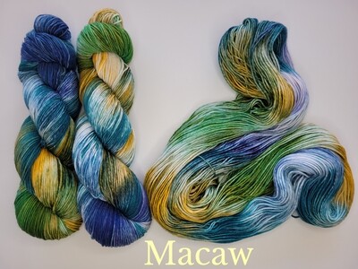 Macaw