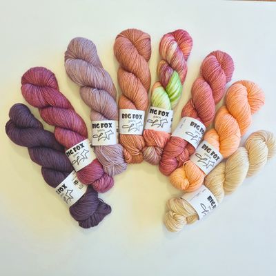 Cape Bloom