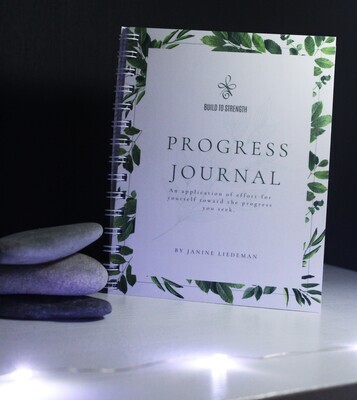 Progress Journal