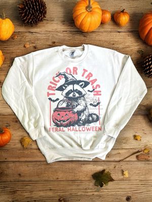 Trash Pandas, Opossums, and Critters! 