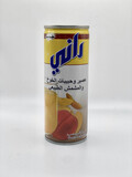 Rani Natural Peach &amp; Apricot Float Juice 250ml  راني عصير وحبيبات الخوخ والمشمش الطبيعي