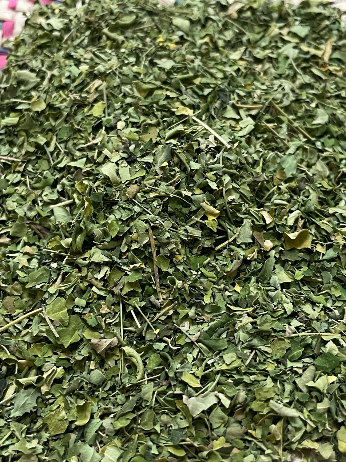 عشبة المورينجا Moringa