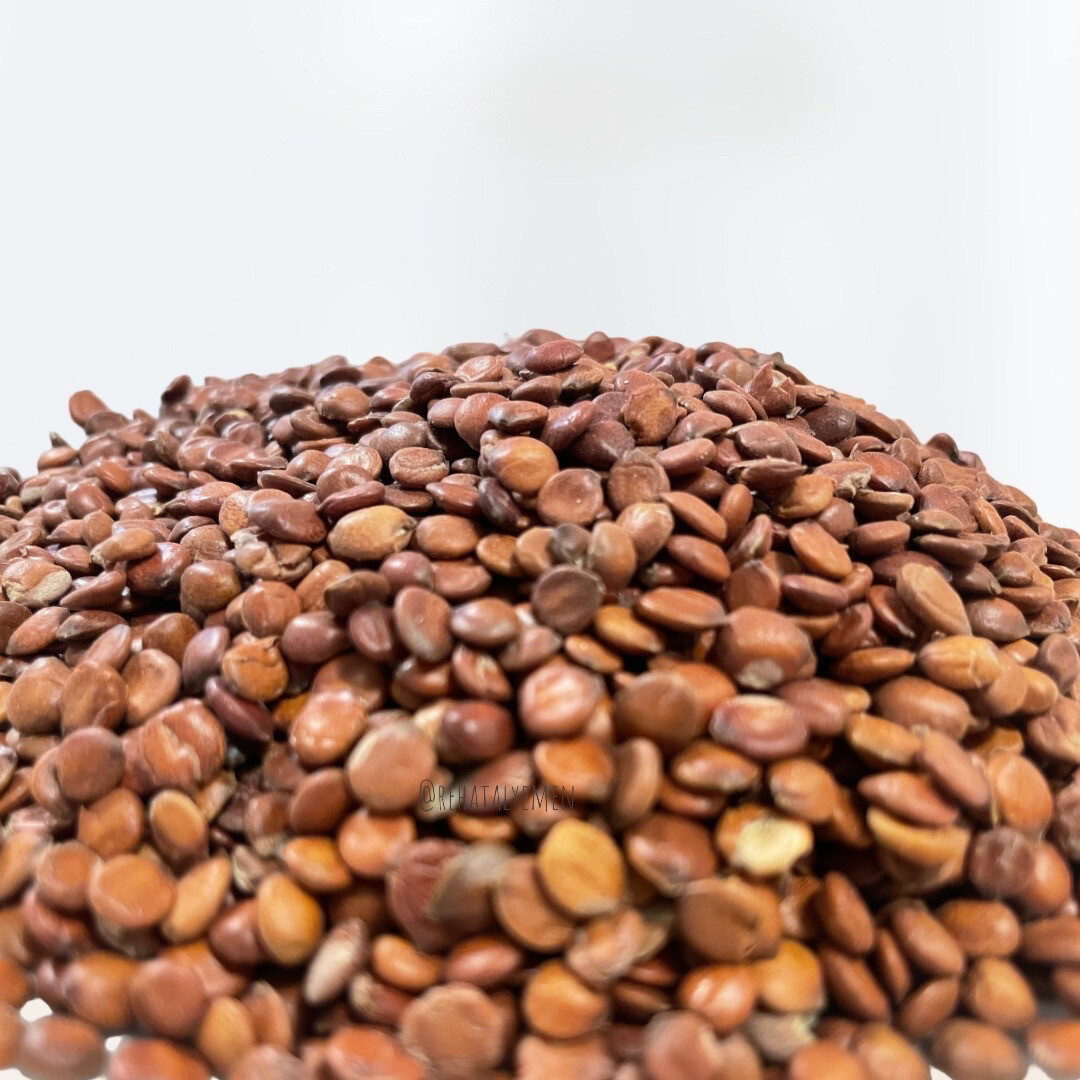 بذور السدر Ziziphus seeds