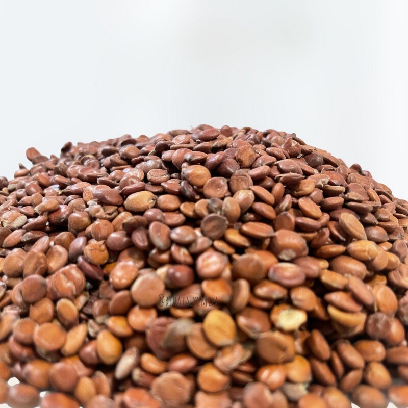بذور السدر Ziziphus seeds