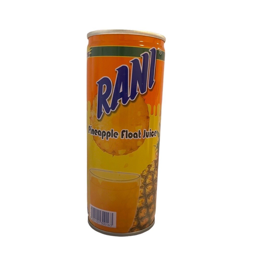 Rani Pineapple Float راني عصير وحبيات – أناناس